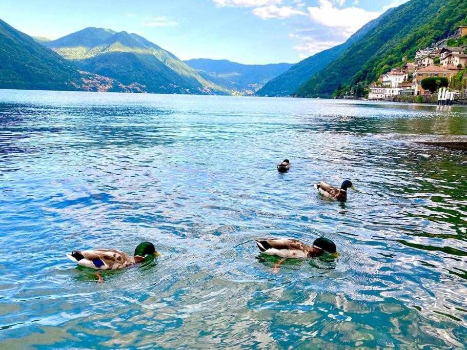 Una finestra sul lago Argegno Esterno foto